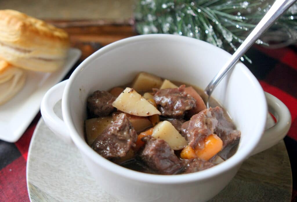 Instant Pot Bison Stew